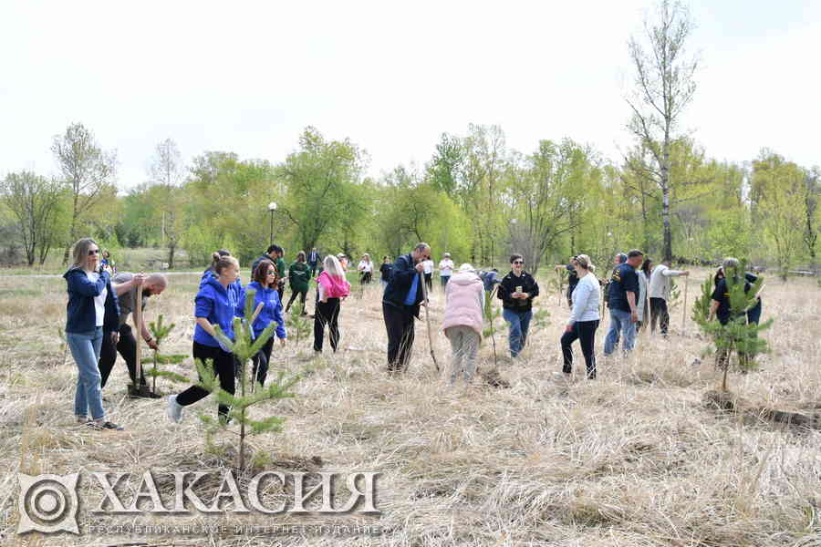 Фото галереи