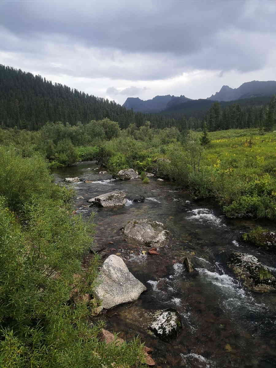 Фото галереи