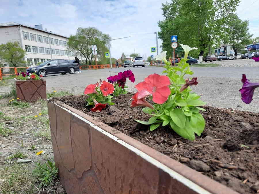 Фото галереи