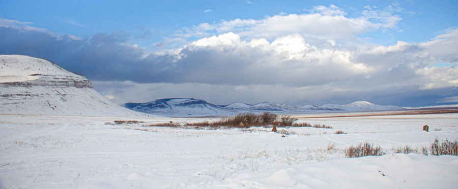 Фото галереи