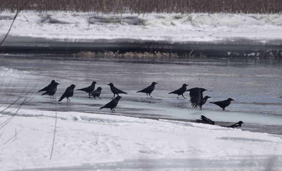 Фото галереи