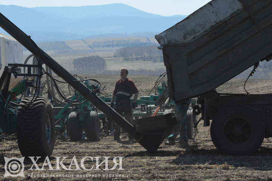 Фото галереи