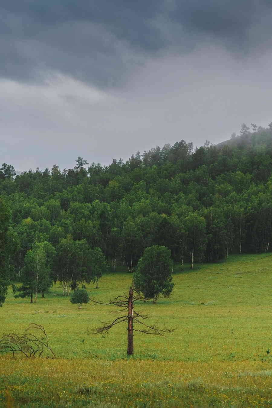 Фото галереи