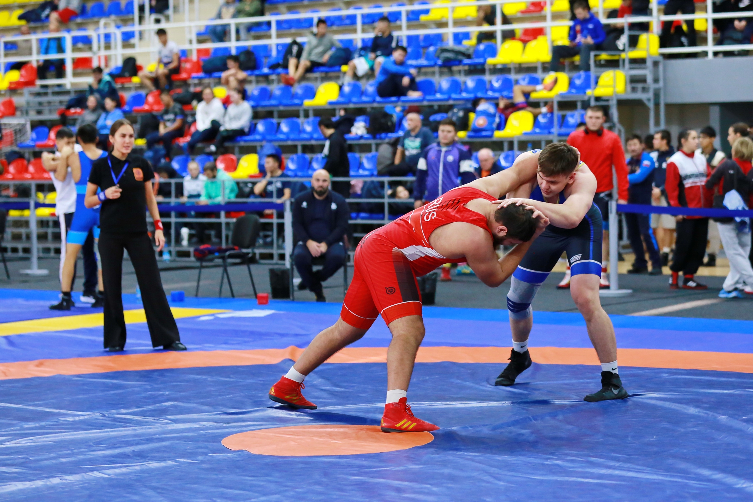 Фото галереи