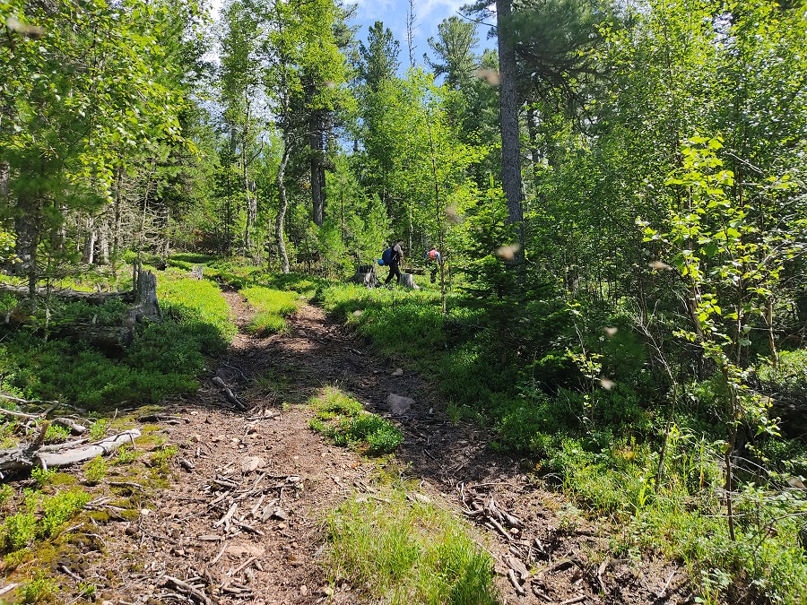 Фото галереи